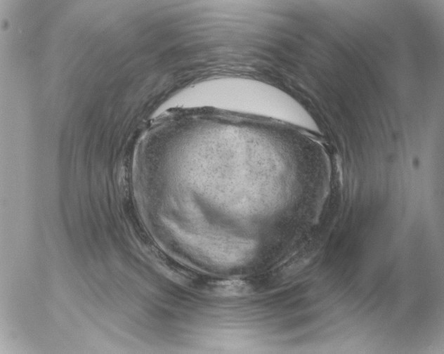 X0000052640087200507221826