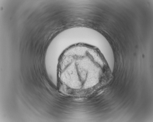 X0000052640088200507221826