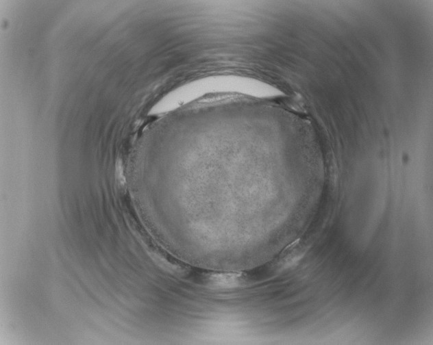 X0000052640089200507221826