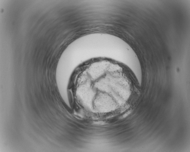 X0000052640091200507221826