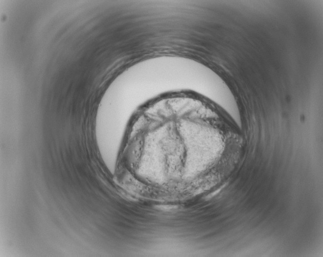 X0000052640092200507221826