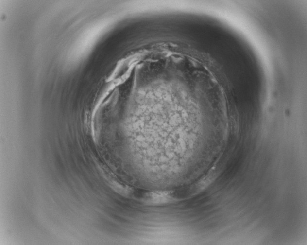 X0000052640093200507221826