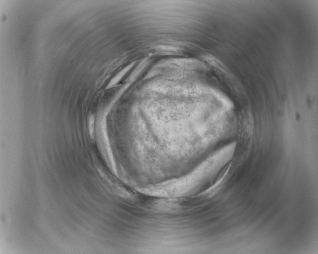 X0000052640094200507221826