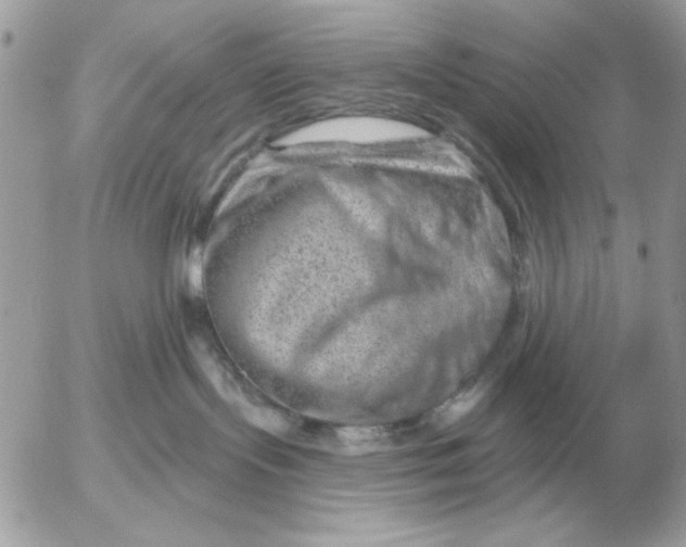 X0000052640095200507221826