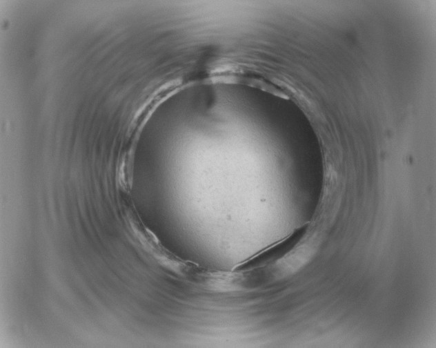 X0000052640096200507221826