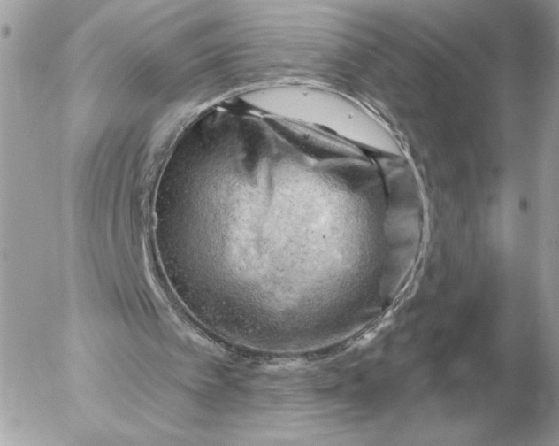 X0000052640097200507221826