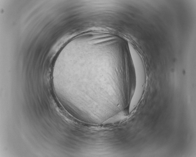 X0000052640098200507221826