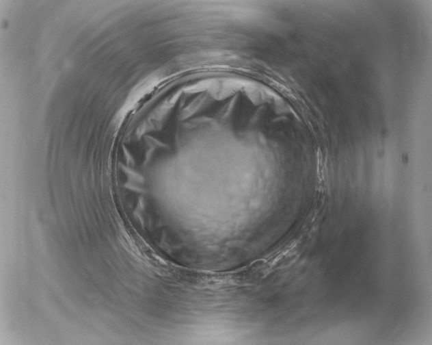 X0000052640099200507221826