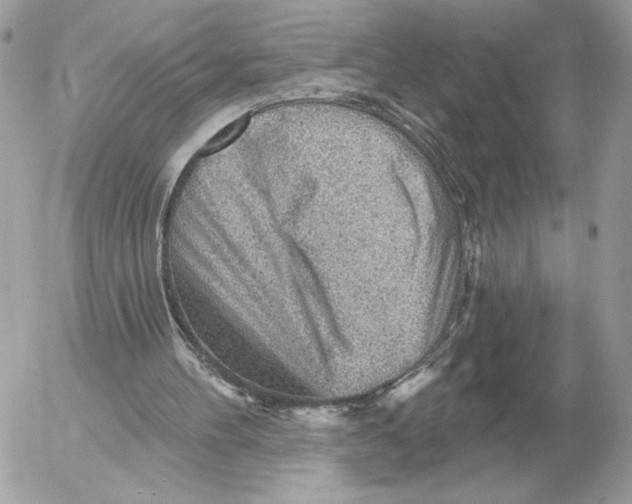 X0000052640100200507221826