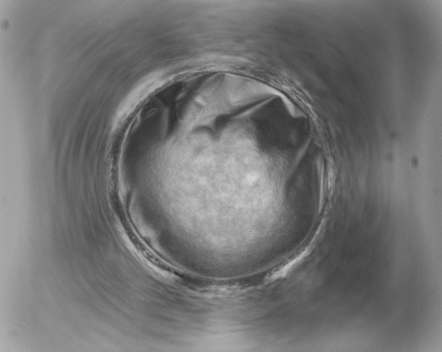 X0000052640101200507221826