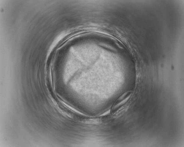 X0000052640102200507221826