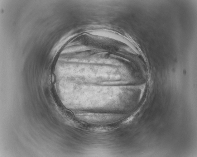 X0000052640103200507221826