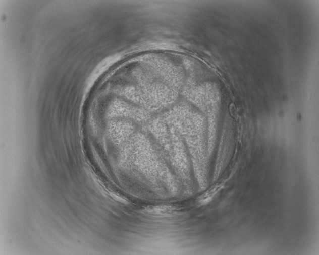 X0000052640104200507221826