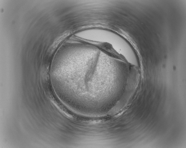 X0000052640105200507221826