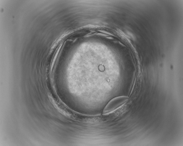 X0000052640106200507221826