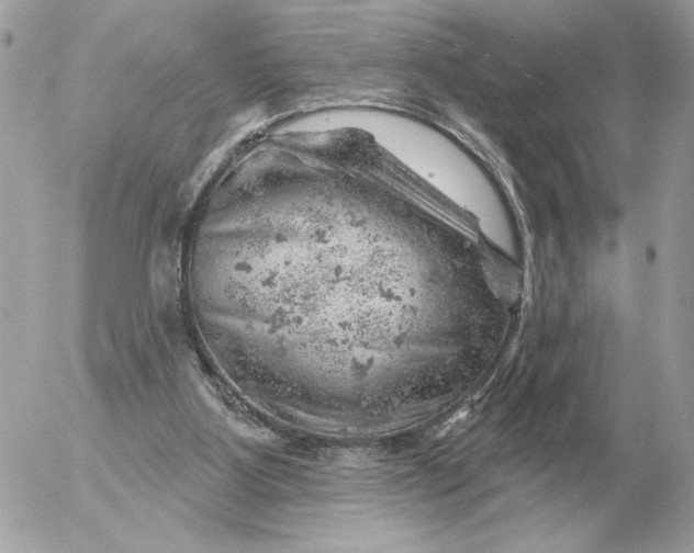 X0000052640107200507221825