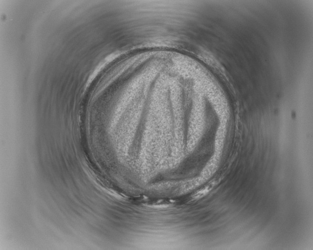 X0000052640108200507221825