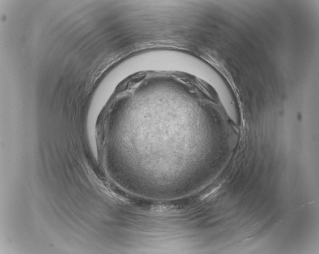 X0000052640109200507221825