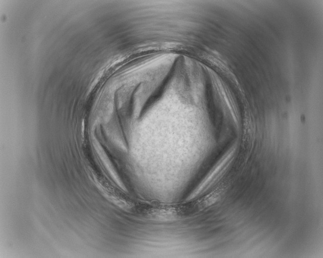 X0000052640110200507221825