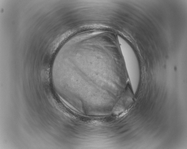 X0000052640111200507221825