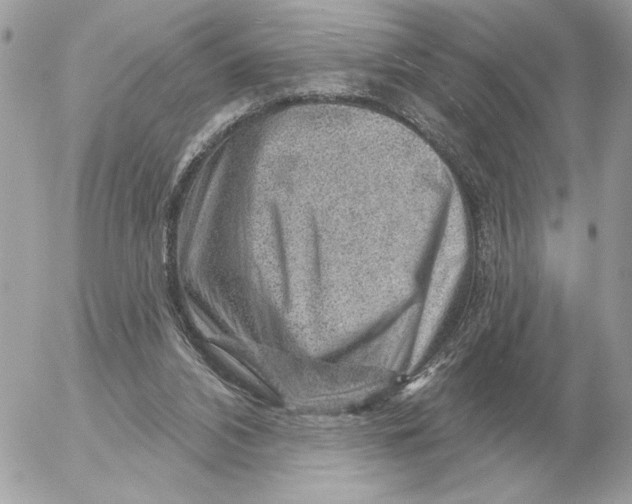 X0000052640112200507221825