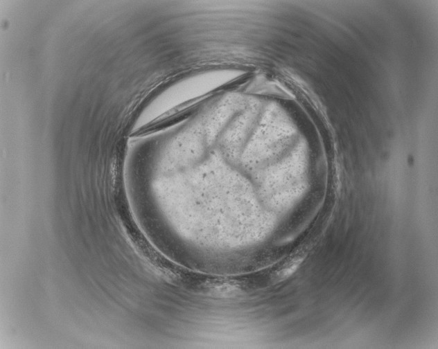 X0000052640113200507221825