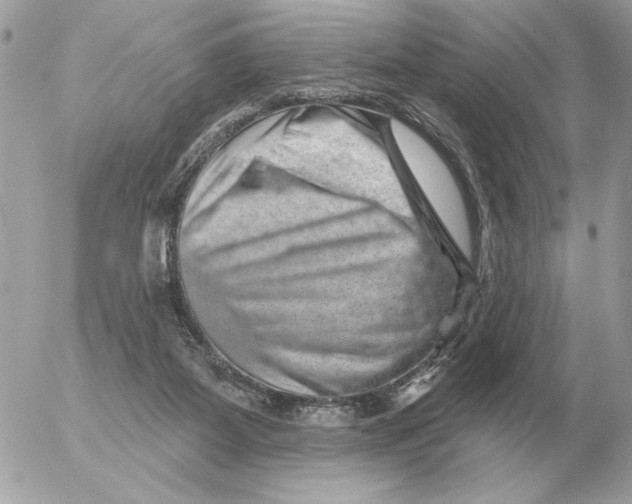 X0000052640115200507221825