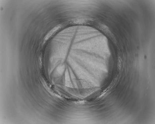 X0000052640116200507221825