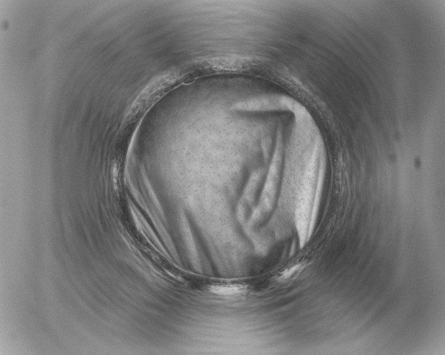 X0000052640117200507221825