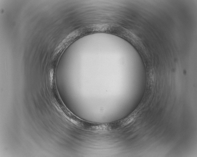 X0000052640118200507221825