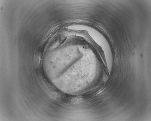 X0000052640119200507221825