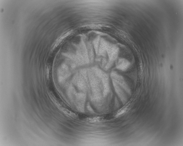 X0000052640120200507221825