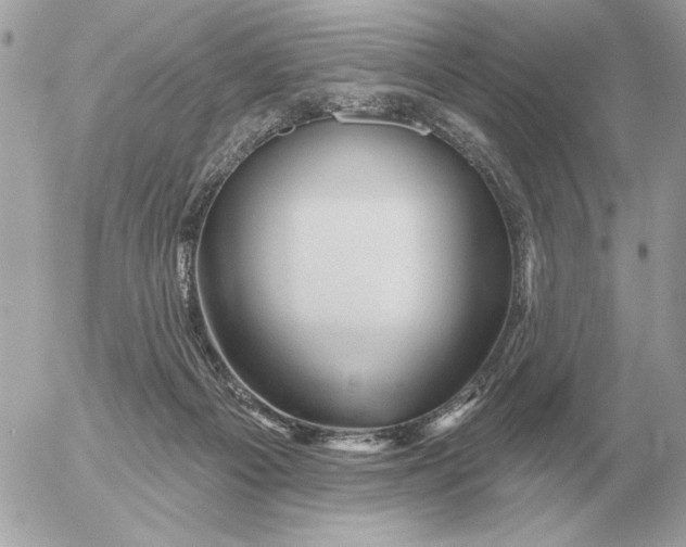 X0000052640121200507221825