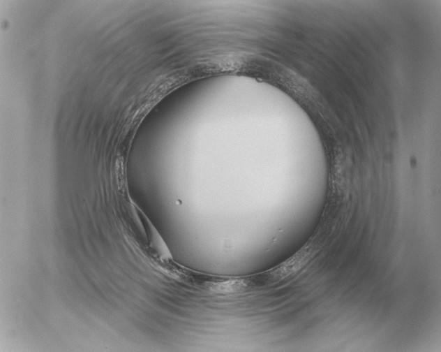 X0000052640122200507221825