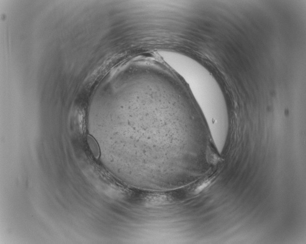 X0000052640123200507221825