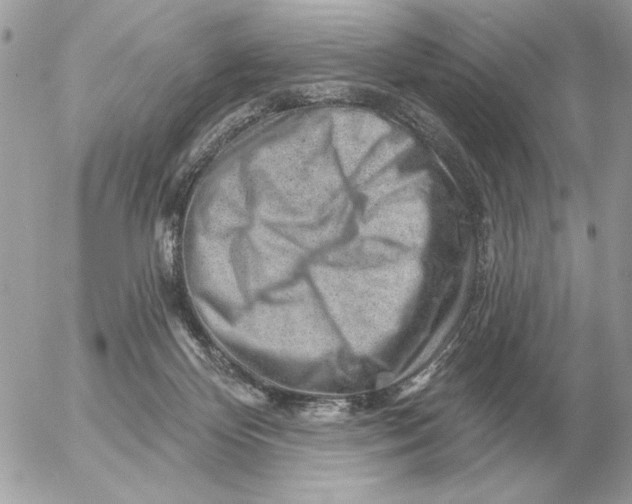 X0000052640124200507221825