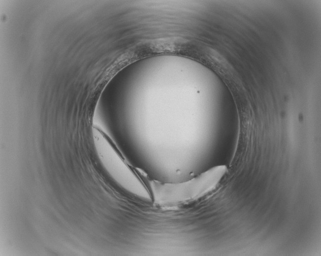 X0000052640125200507221825