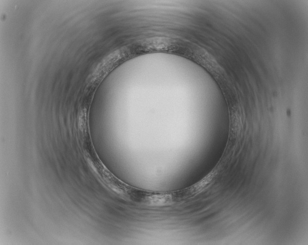 X0000052640126200507221825