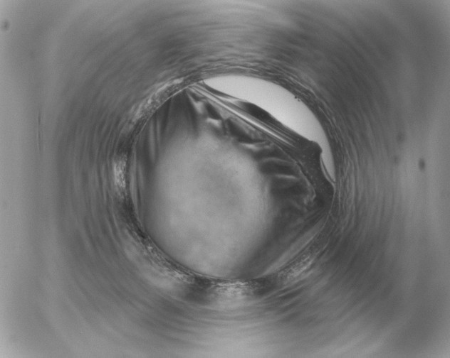 X0000052640127200507221825