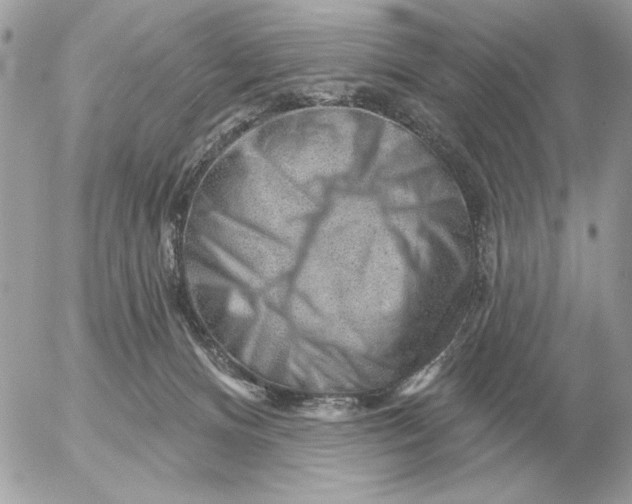 X0000052640128200507221825