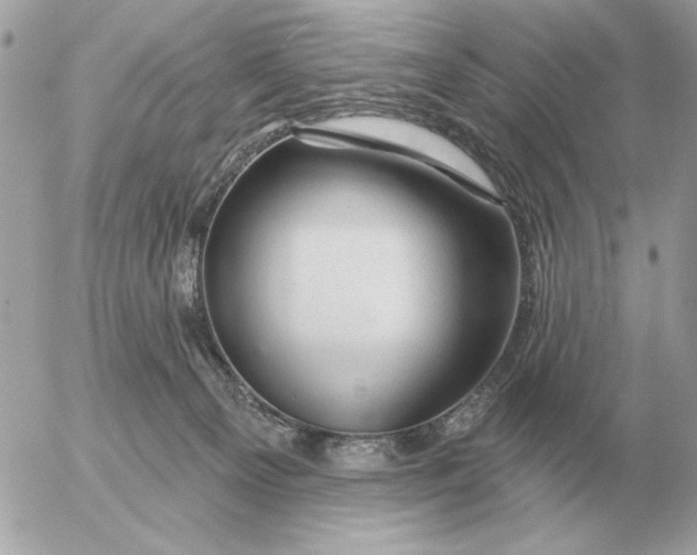 X0000052640129200507221825