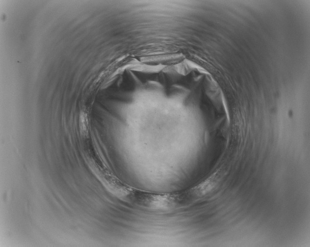 X0000052640130200507221825