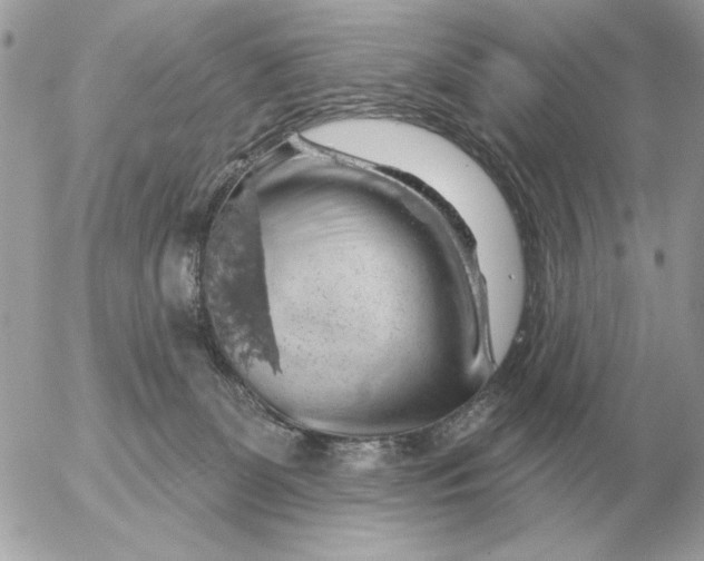 X0000052640131200507221825