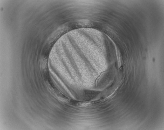 X0000052640132200507221825