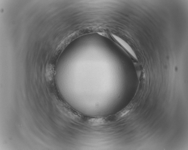 X0000052640133200507221825