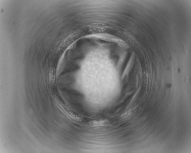 X0000052640134200507221825