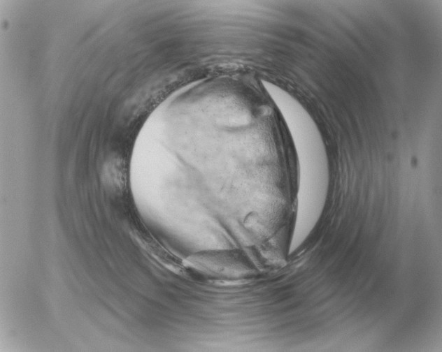 X0000052640135200507221825