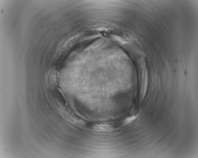 X0000052640137200507221825