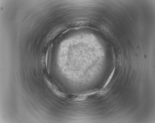 X0000052640138200507221825