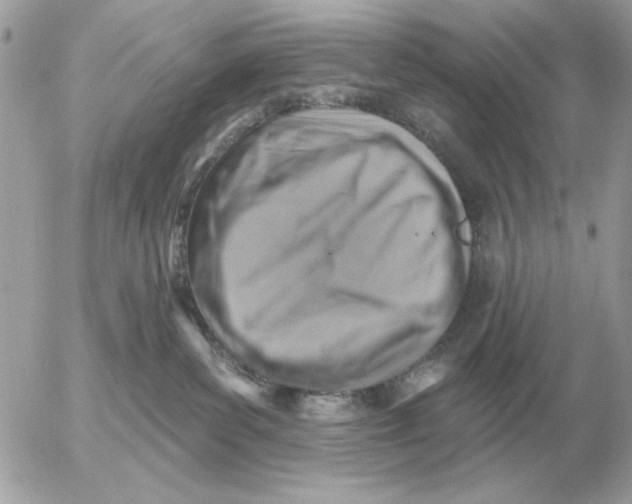 X0000052640139200507221825